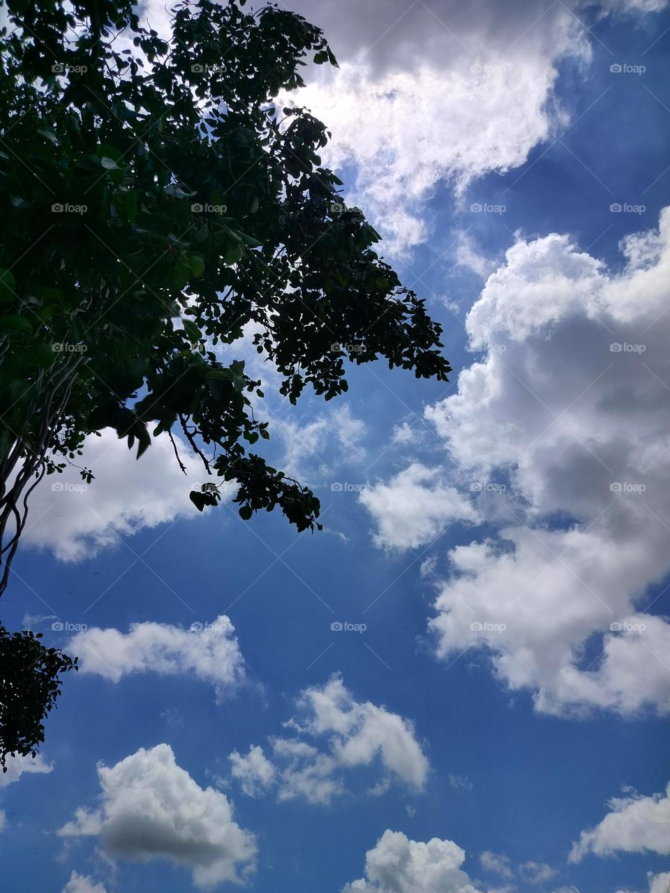 The sky and the clouds