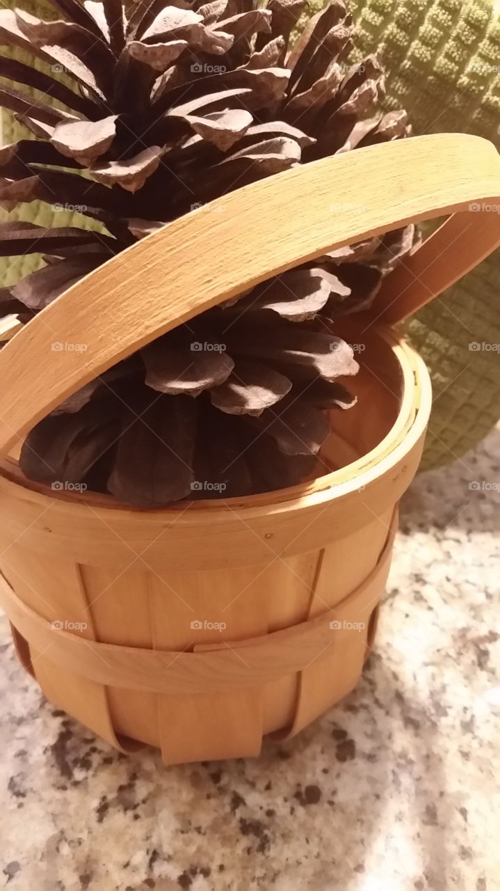 pinecone basket