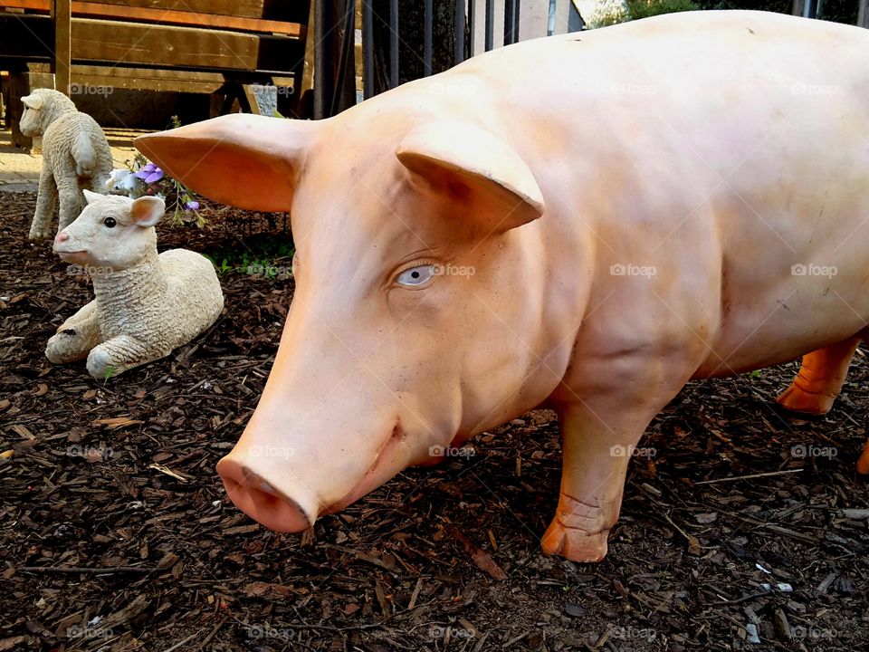 a pig and two lambs, plastic figures