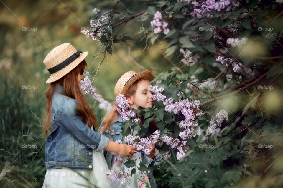 Little sisters in a hat near blossom lilac tree at sunset 