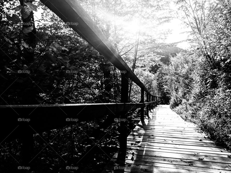 high contrast photo of pathway