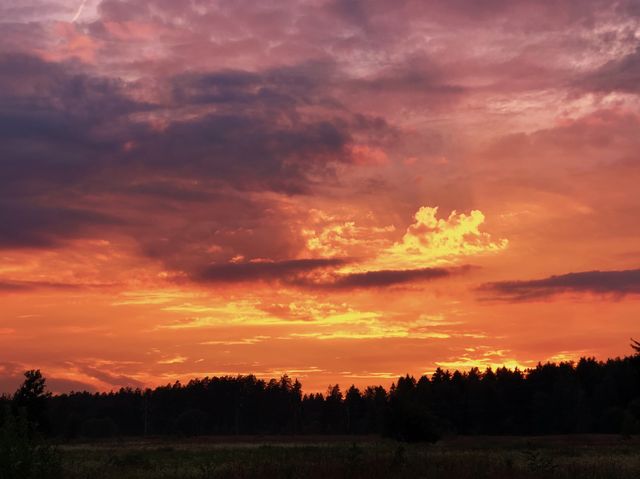 Summer sunset