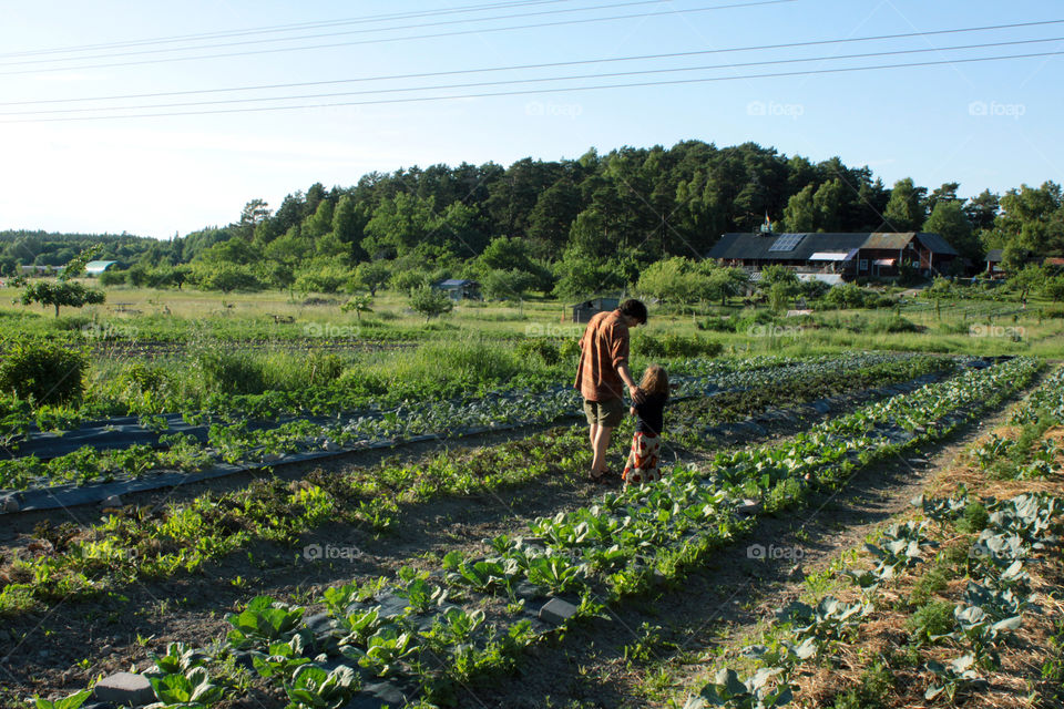 WWOOF, Sweden 