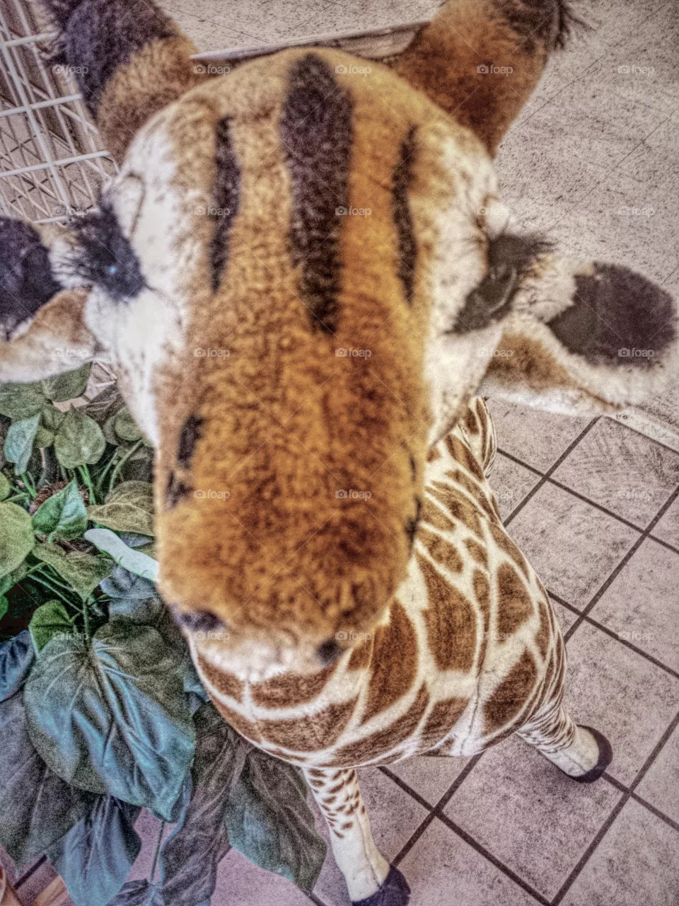 Stuffed Toy Giraffe