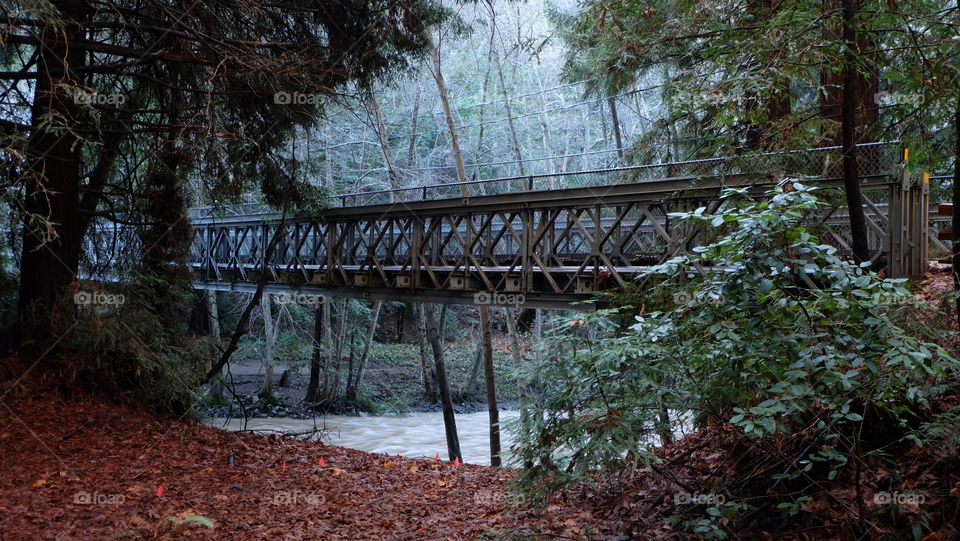 River flowing under bridge