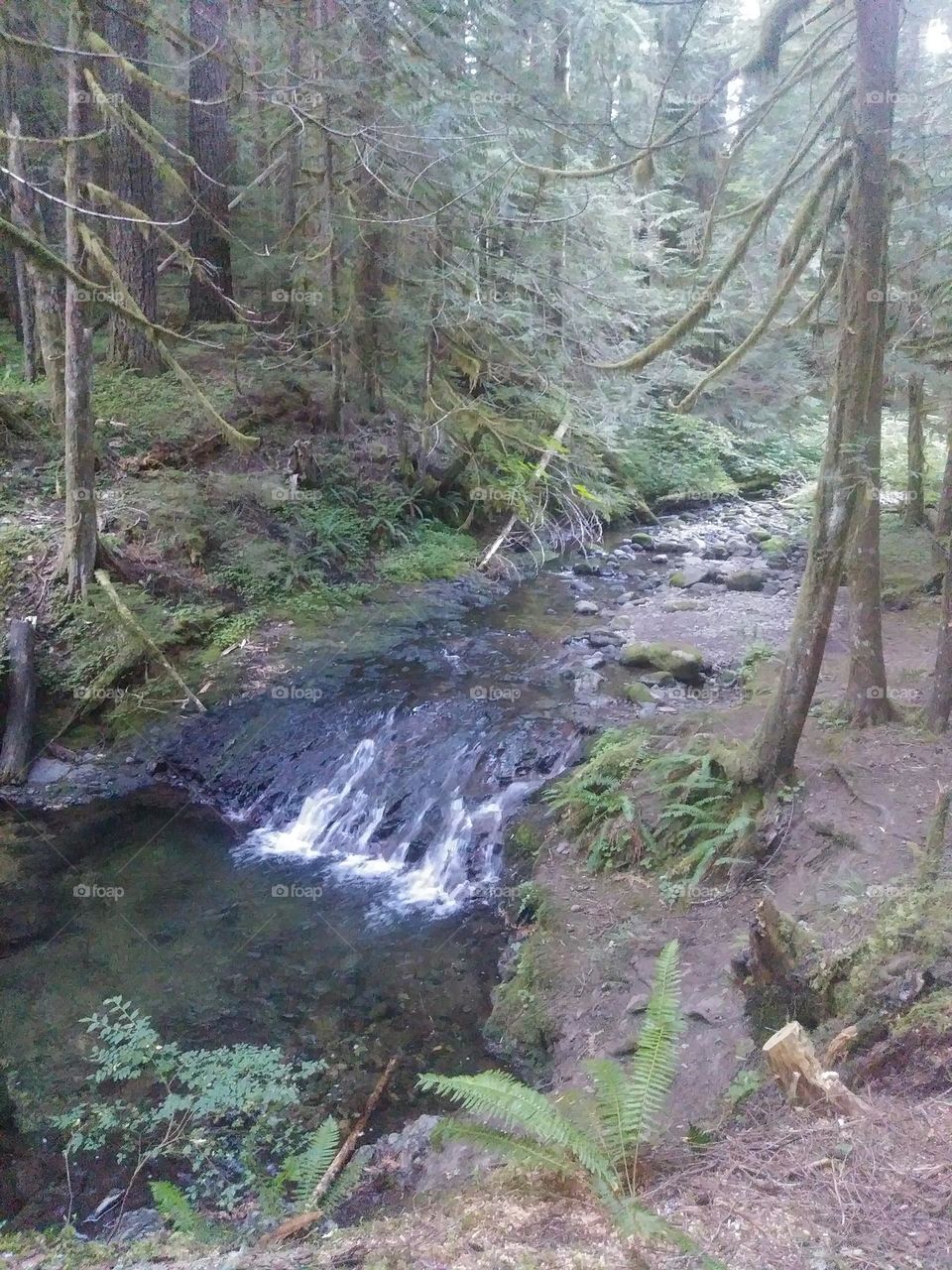 up on the mountain camping with my love