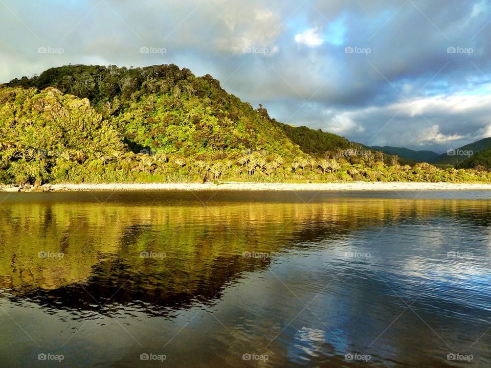 Bush lake reflection
