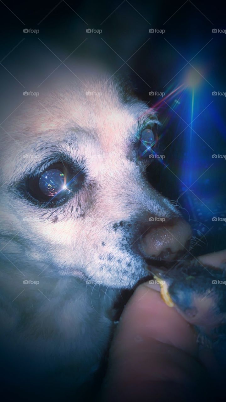 Gily and baby sparrow