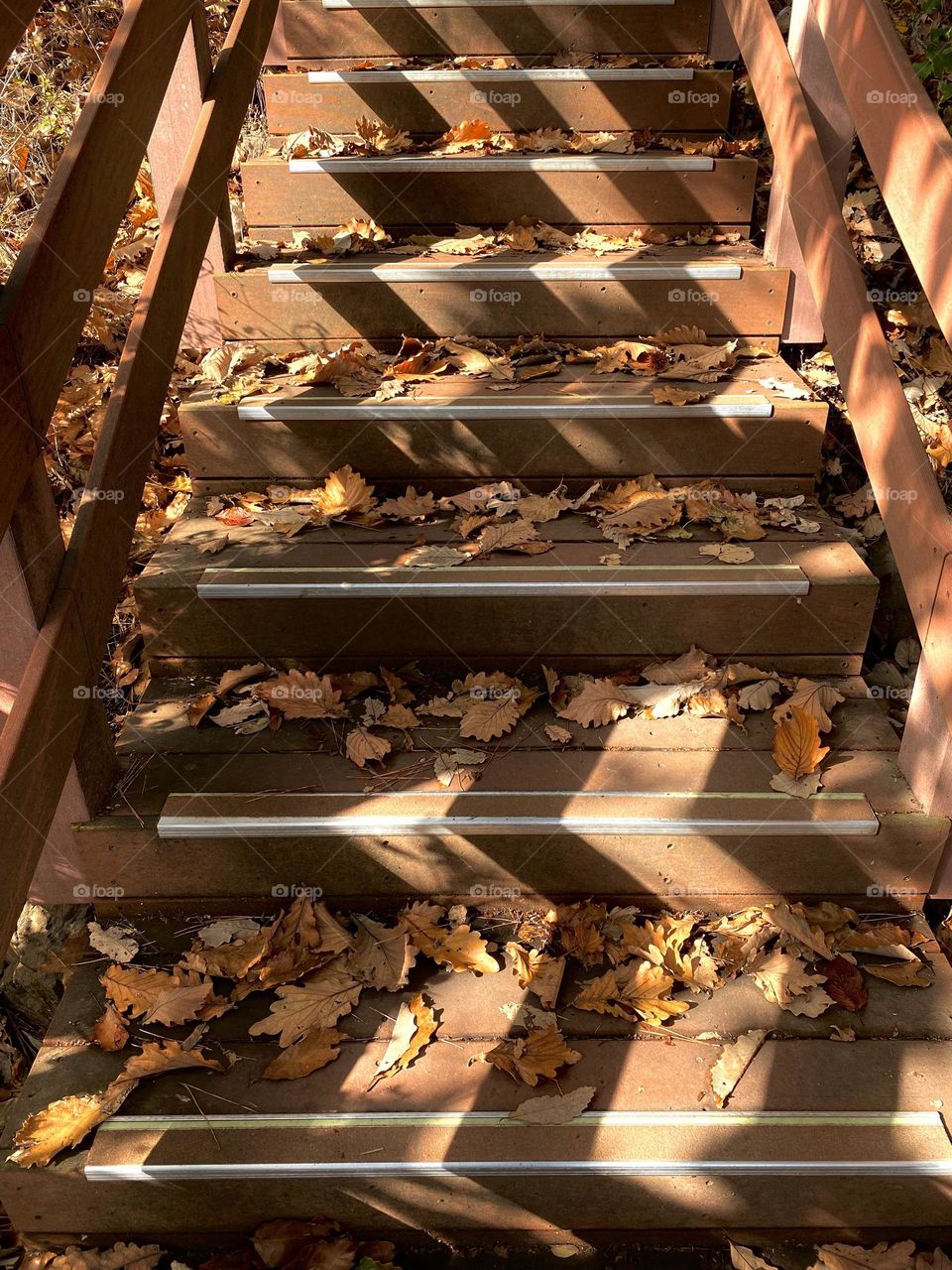 Leaves laying on the stairs, nice afternoon walk 