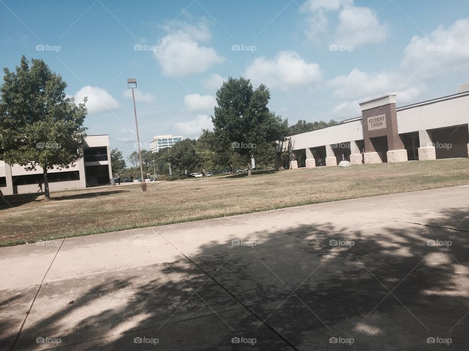 local community college