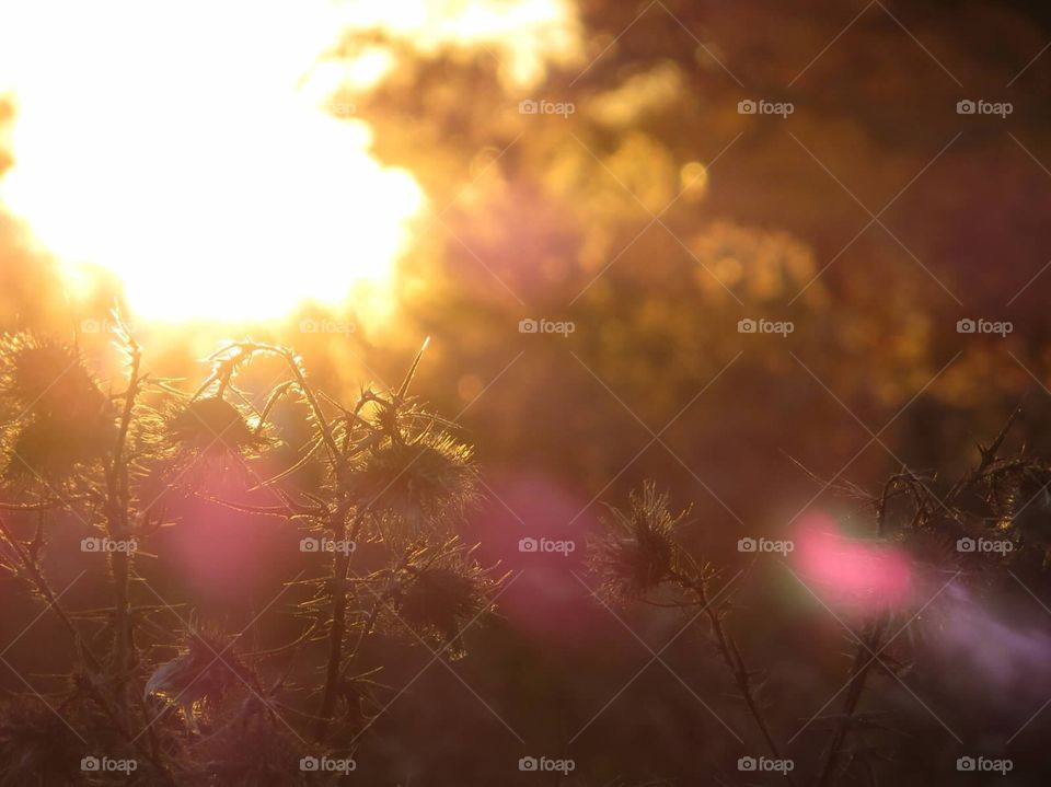 Beautiful time of day