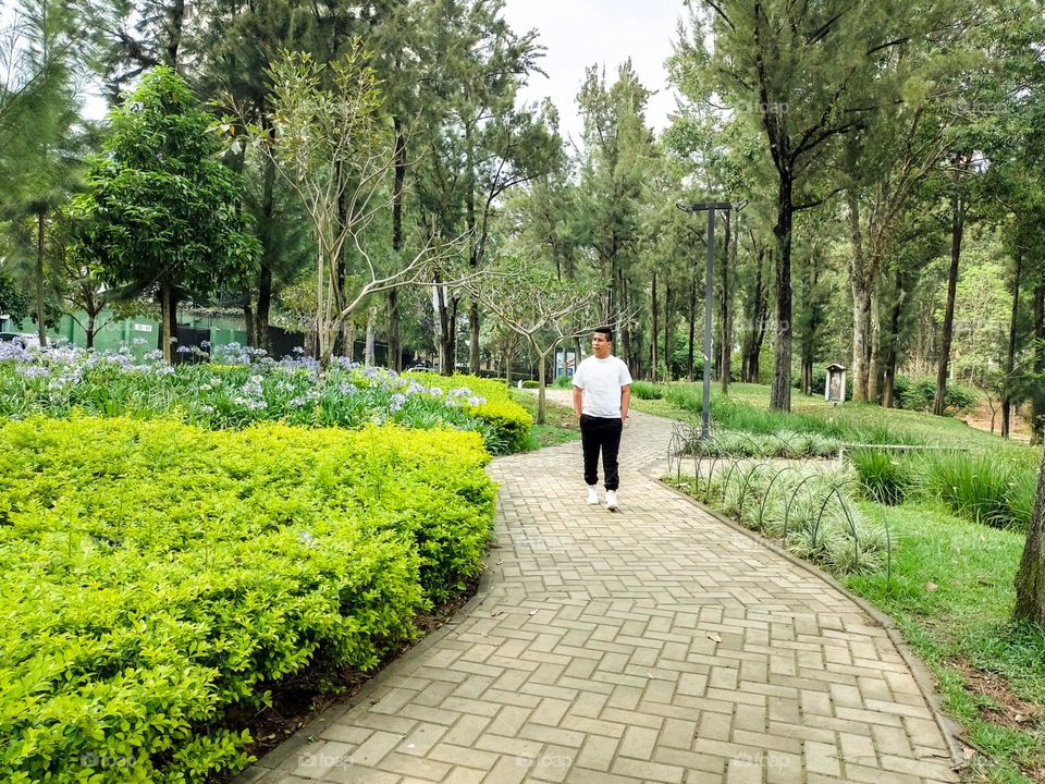Person walking through a park in a city with lots of trees and bushes, located in Guatemala