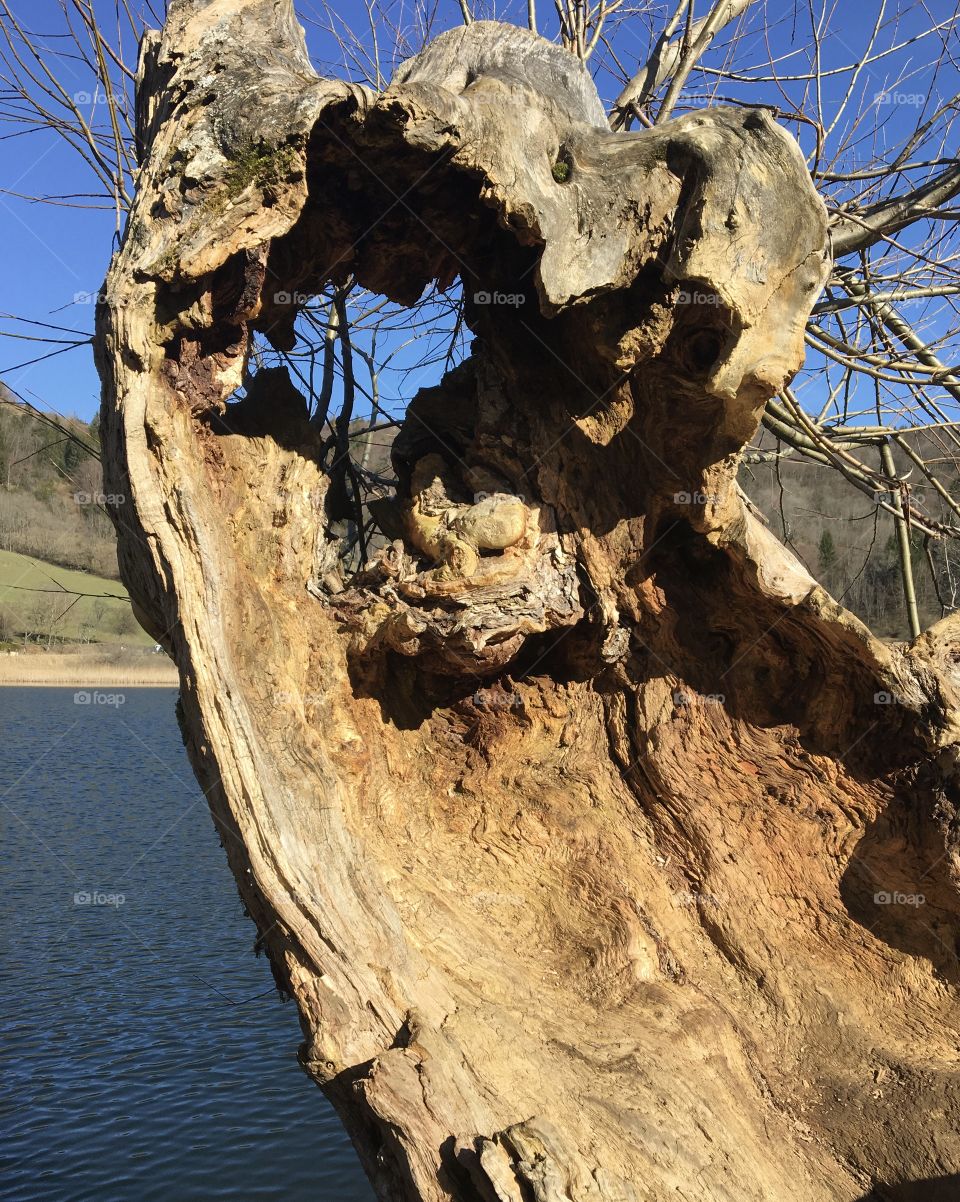Old trunk with window