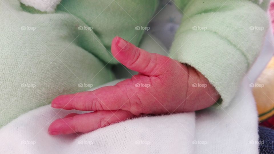 closeup newborn fingers