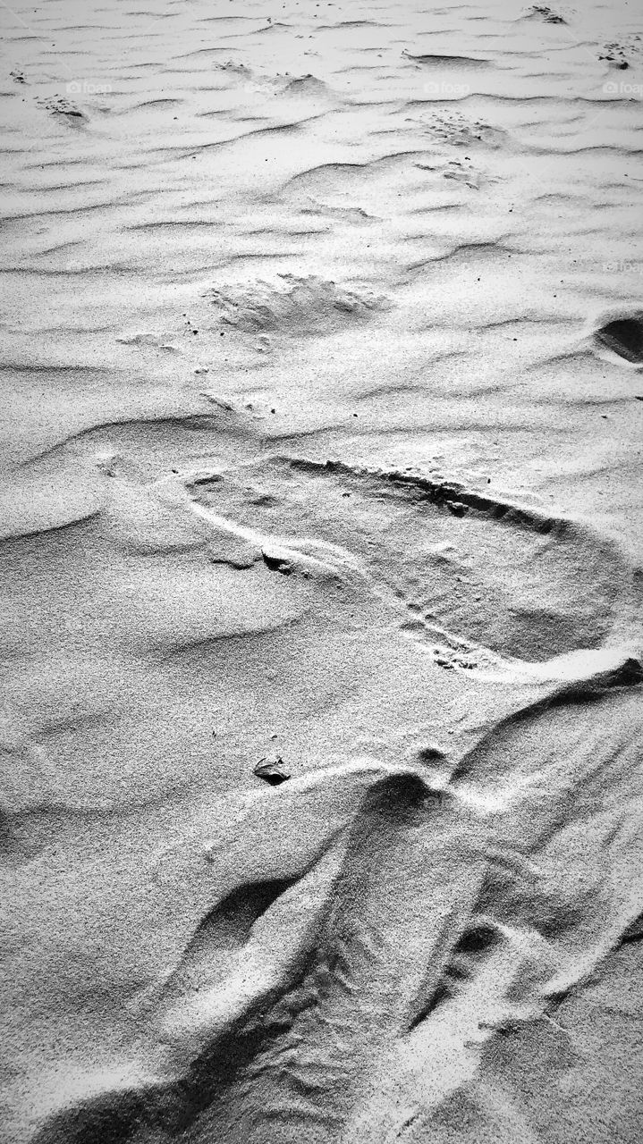 Footprints in the sand