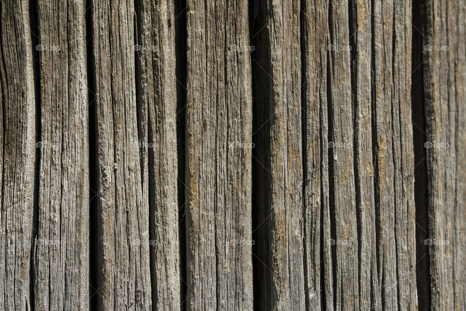 Wood Texture With Natural Pattern