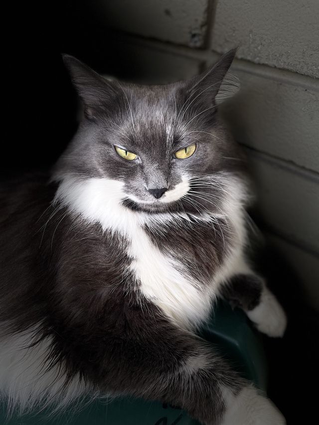 My best Friend, Masha