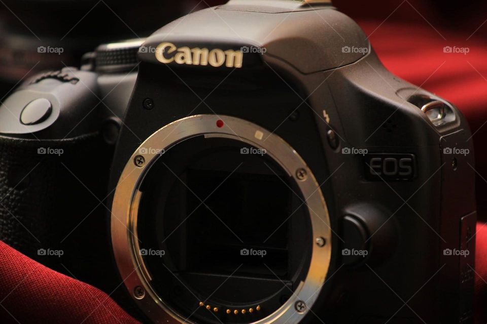 Many things take the circle shape