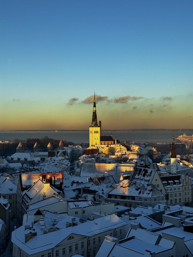 Winter in Tallinn. Roofs under the snow.