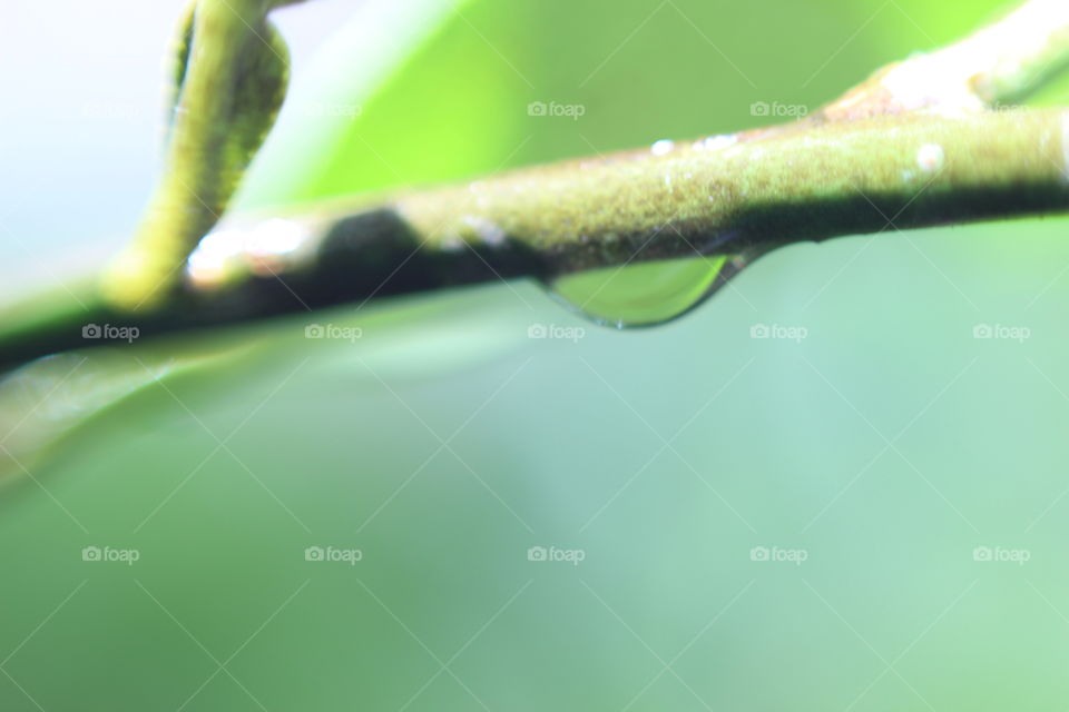 setetes air yang jatuh dari langit