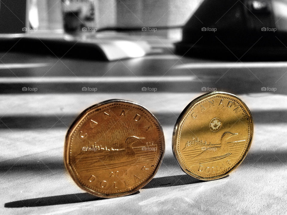 canada coin currency dollar by cindyhodesigns
