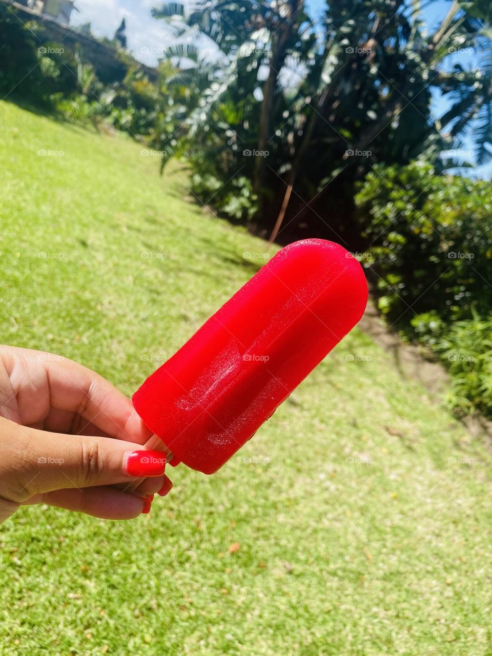 Watermelon Melon ❄️