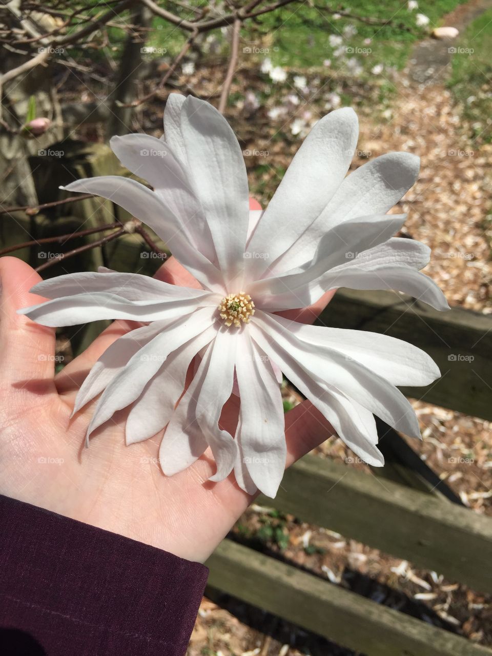 A brilliant after math of a growth explosion 