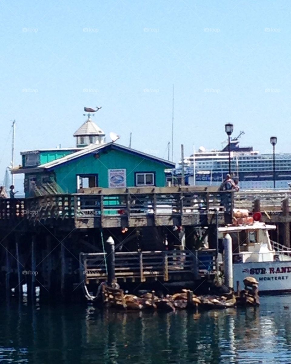 Dock in Monterey 