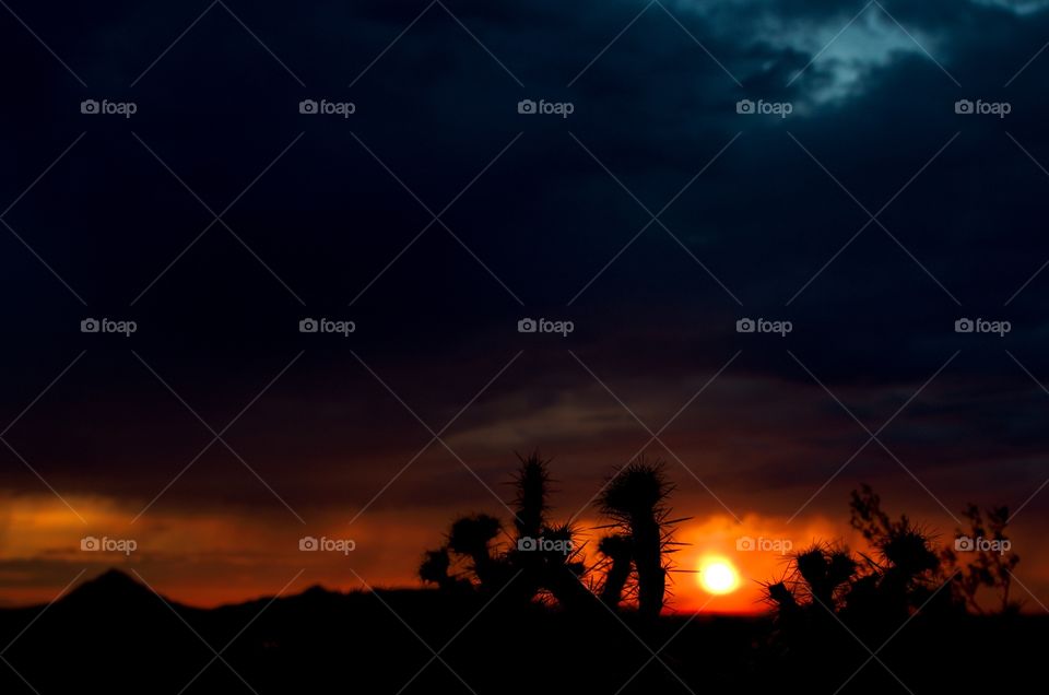 Stormy desert sunset