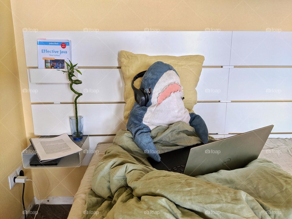 Ikea shark works in the bed