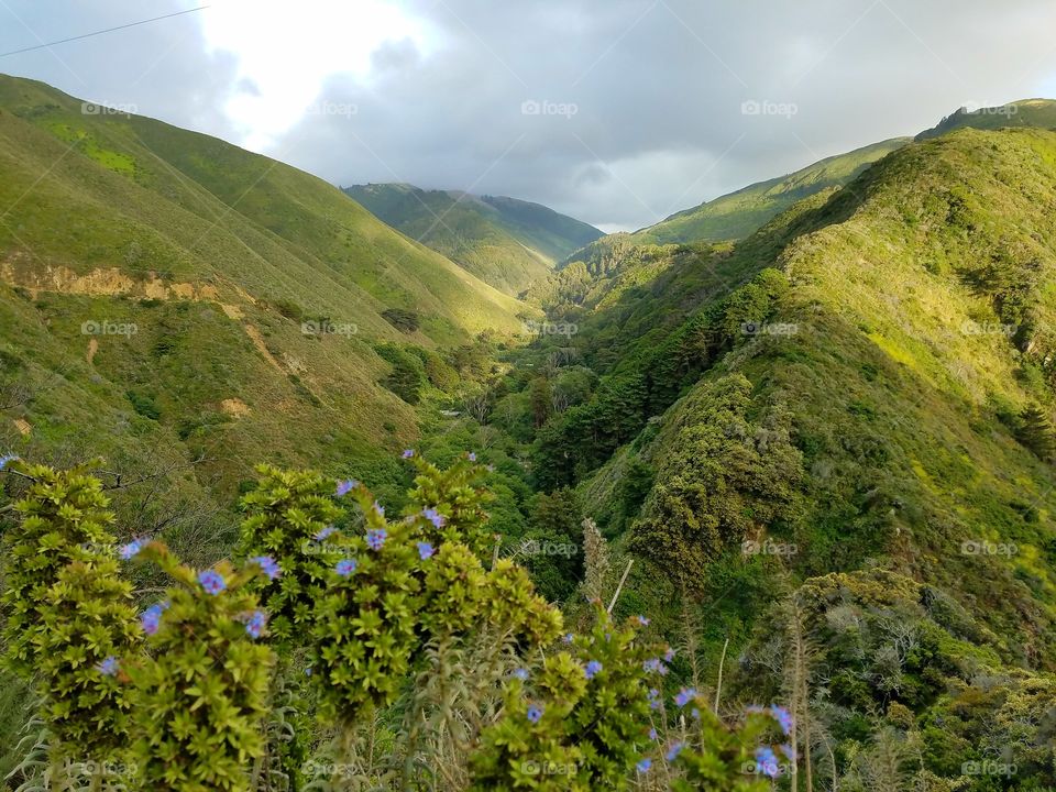 Big Sur!