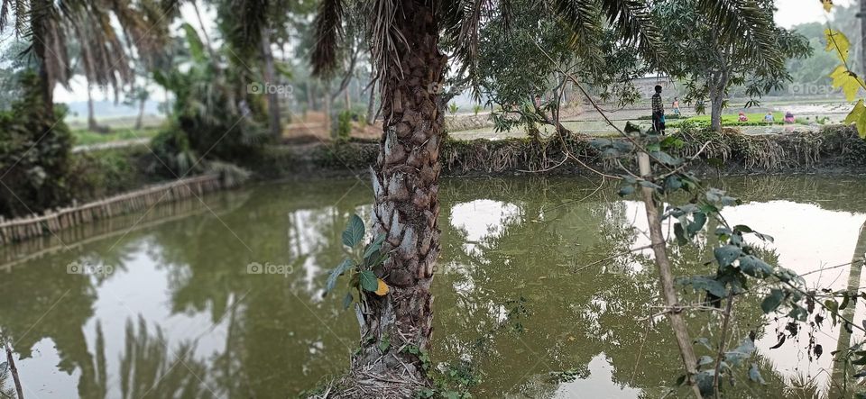 Lively Village in India