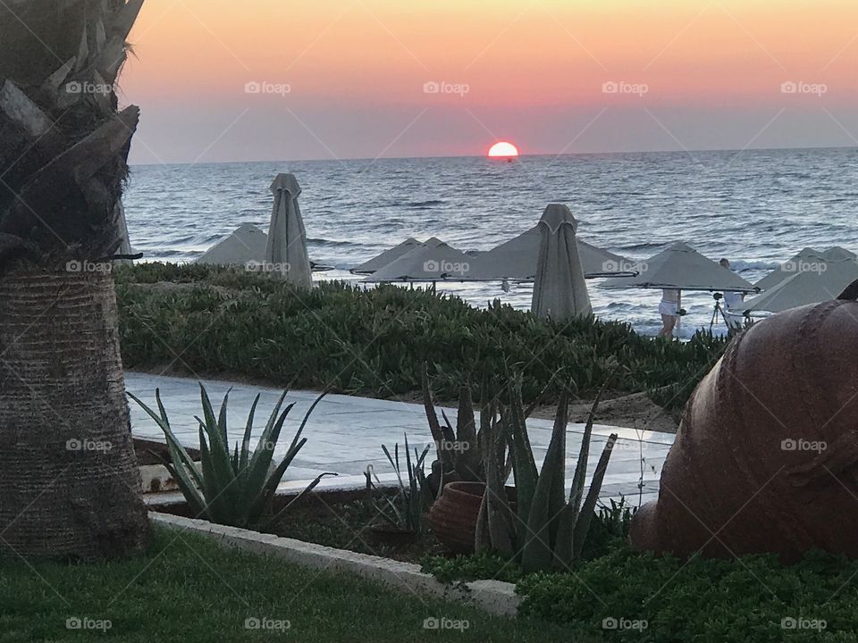 Mittelmeer Strand Sonnenuntergang Beach Sunset Greece Griechenland Kakteen Atmosphäre Urlaub Ferien Kreta 