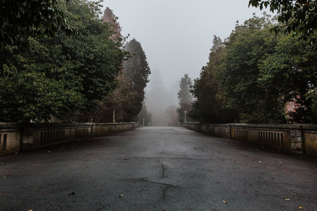 The fog didn’t give a break 