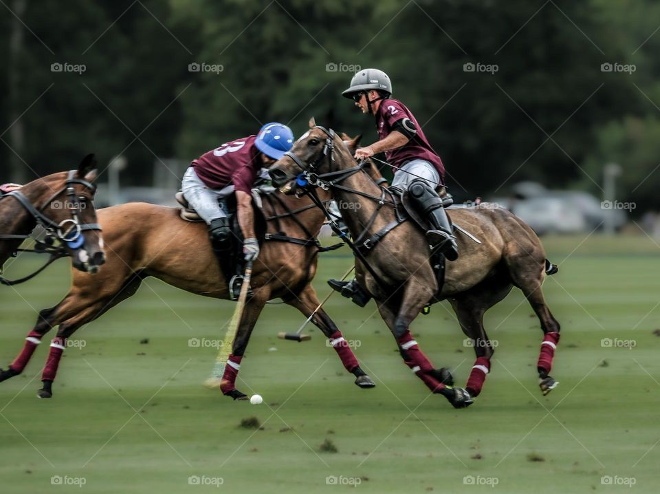 Polo at Cowdray Park