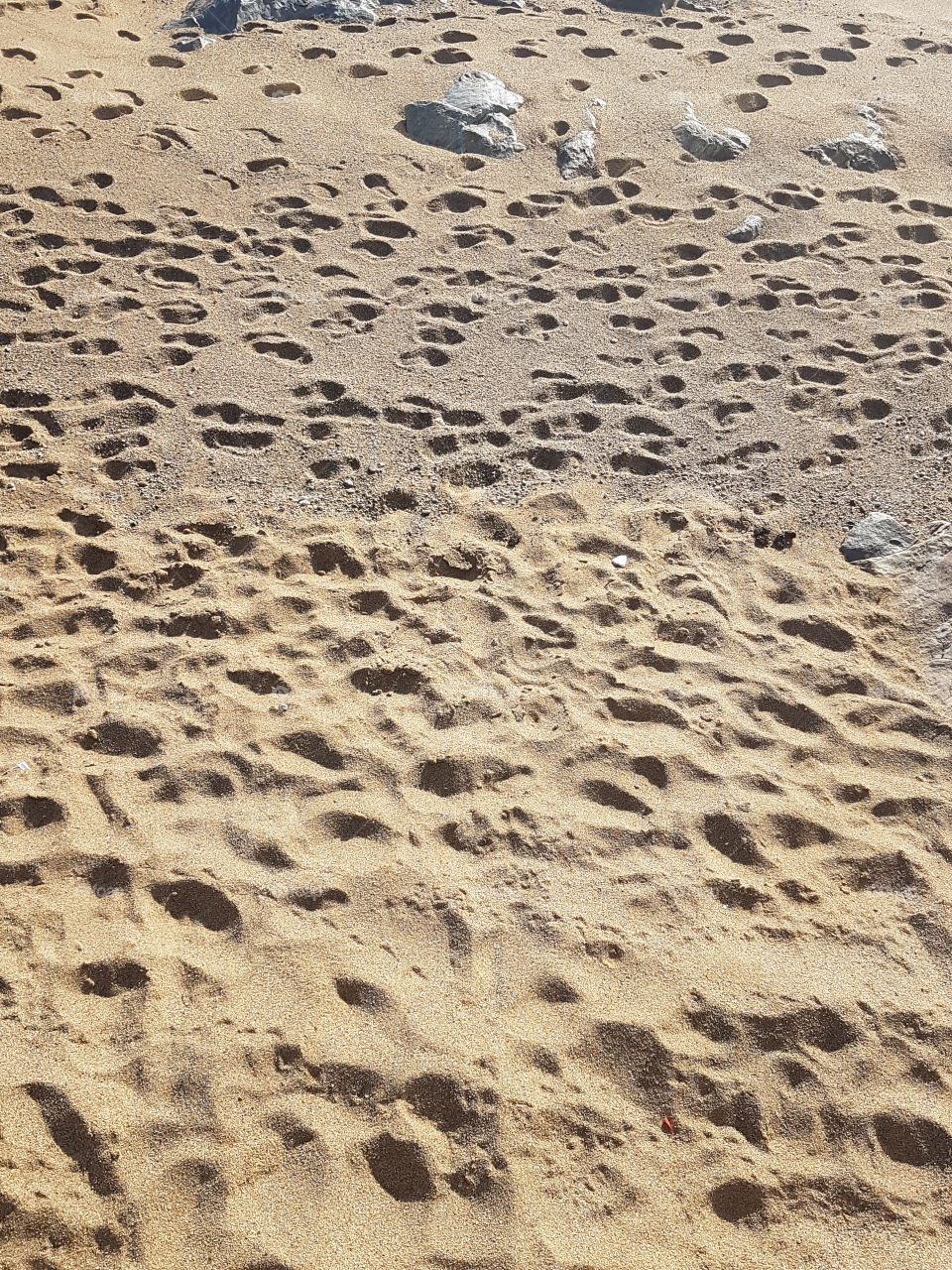 Messy steps on the sand.