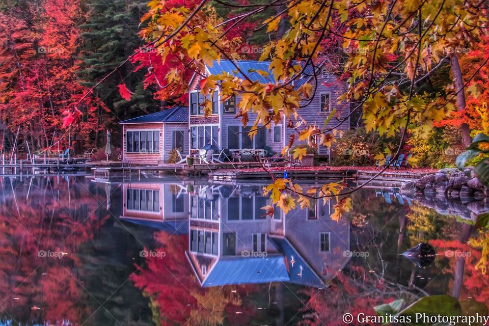 The Autumn House
