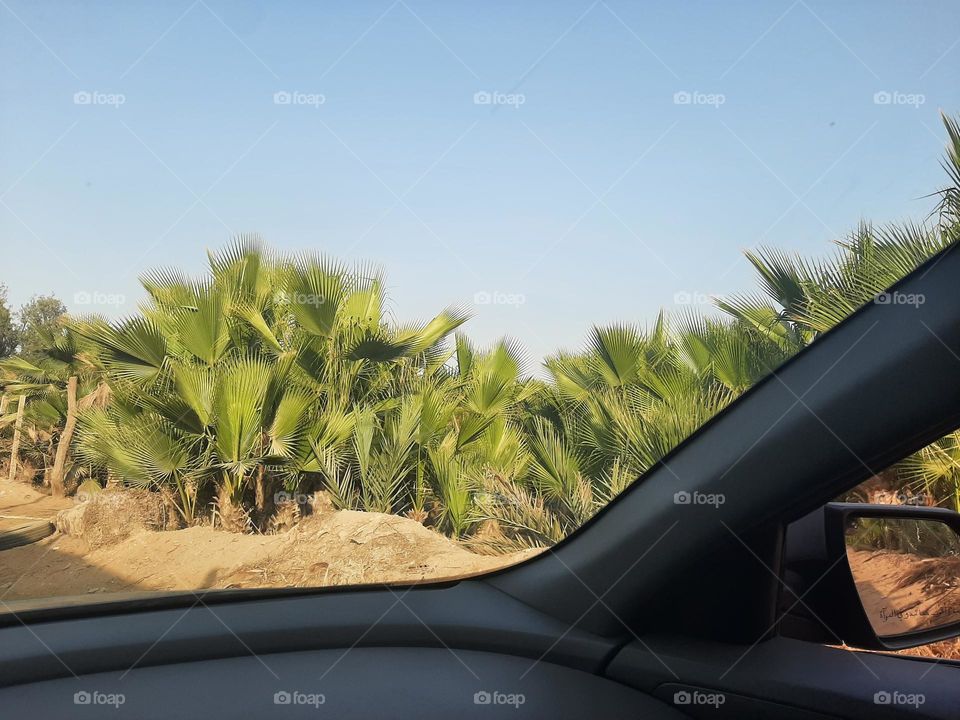 Please make me happy, I am poor, I need your help with support