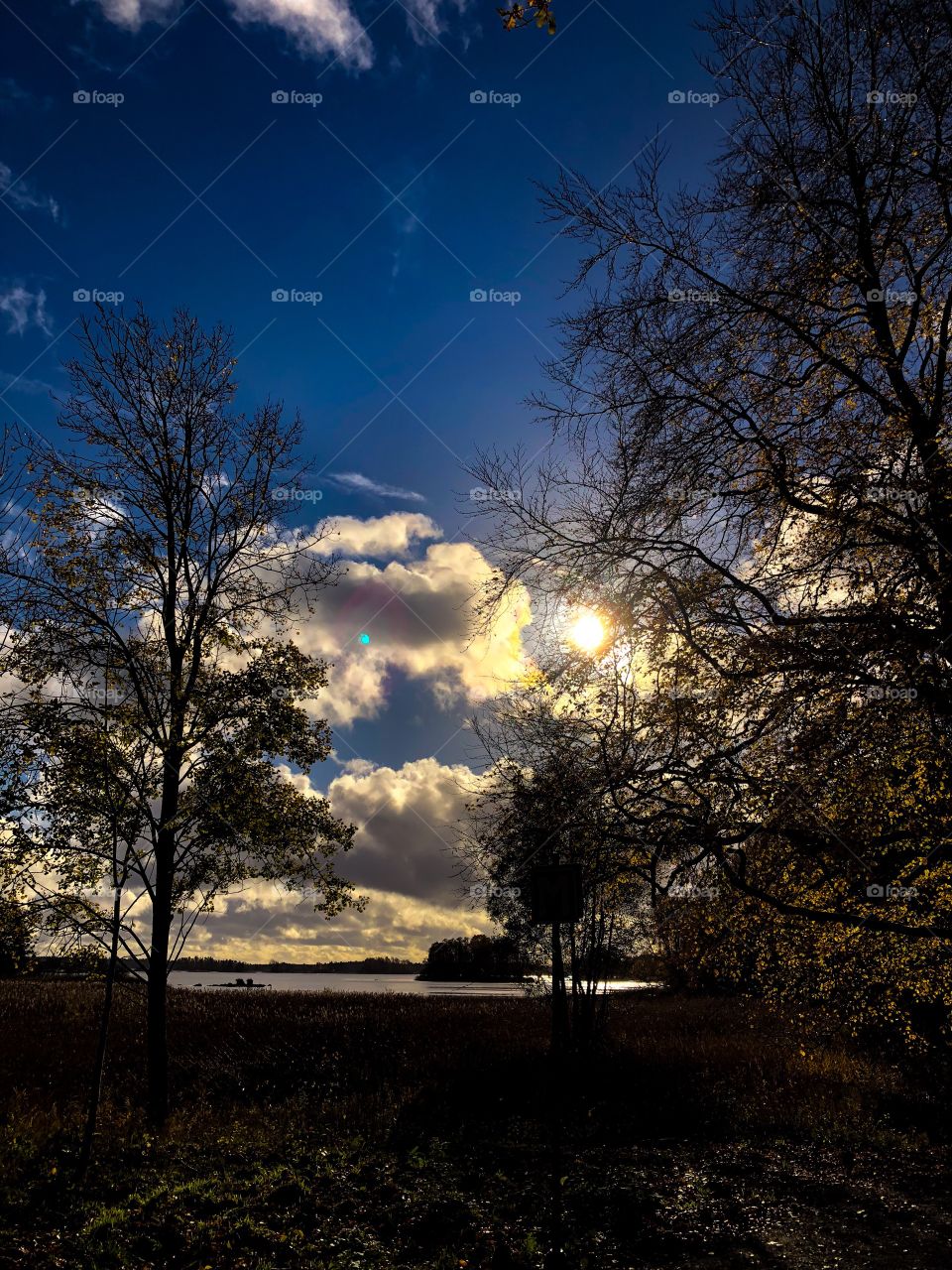 Åsnen nature reserve 