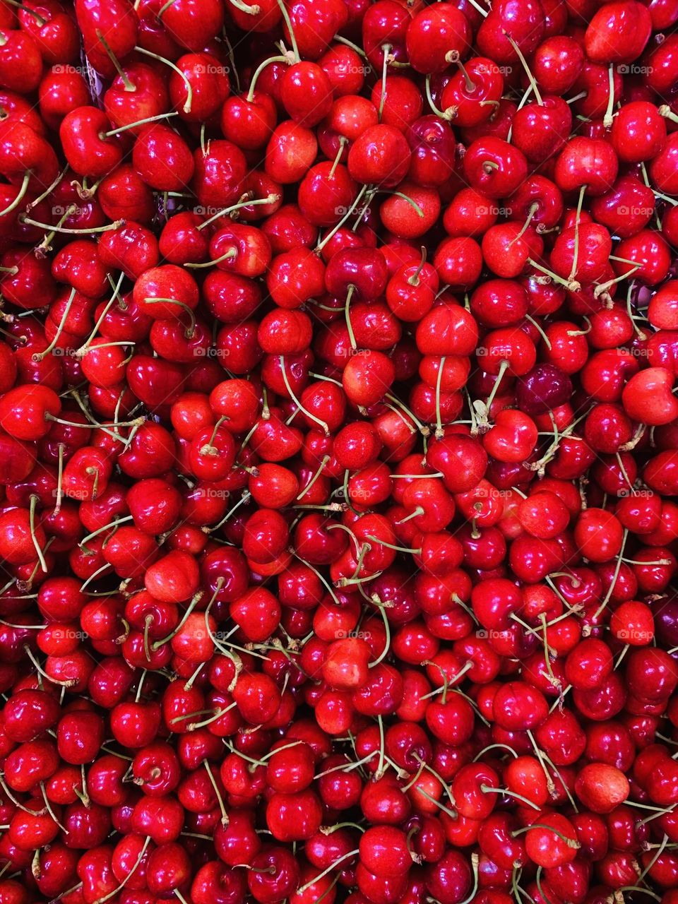 Red shiny freshly harvested cherries seen from above, red fruit, spring fruit, cherries background 