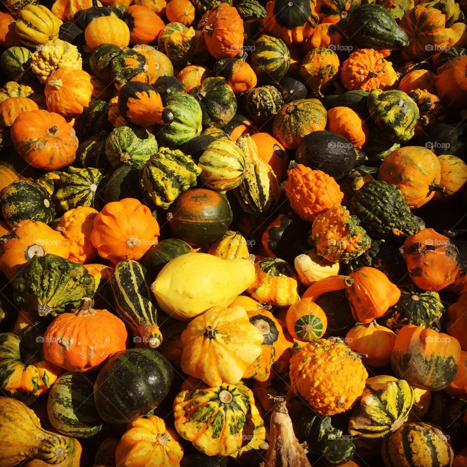 Pumpkins