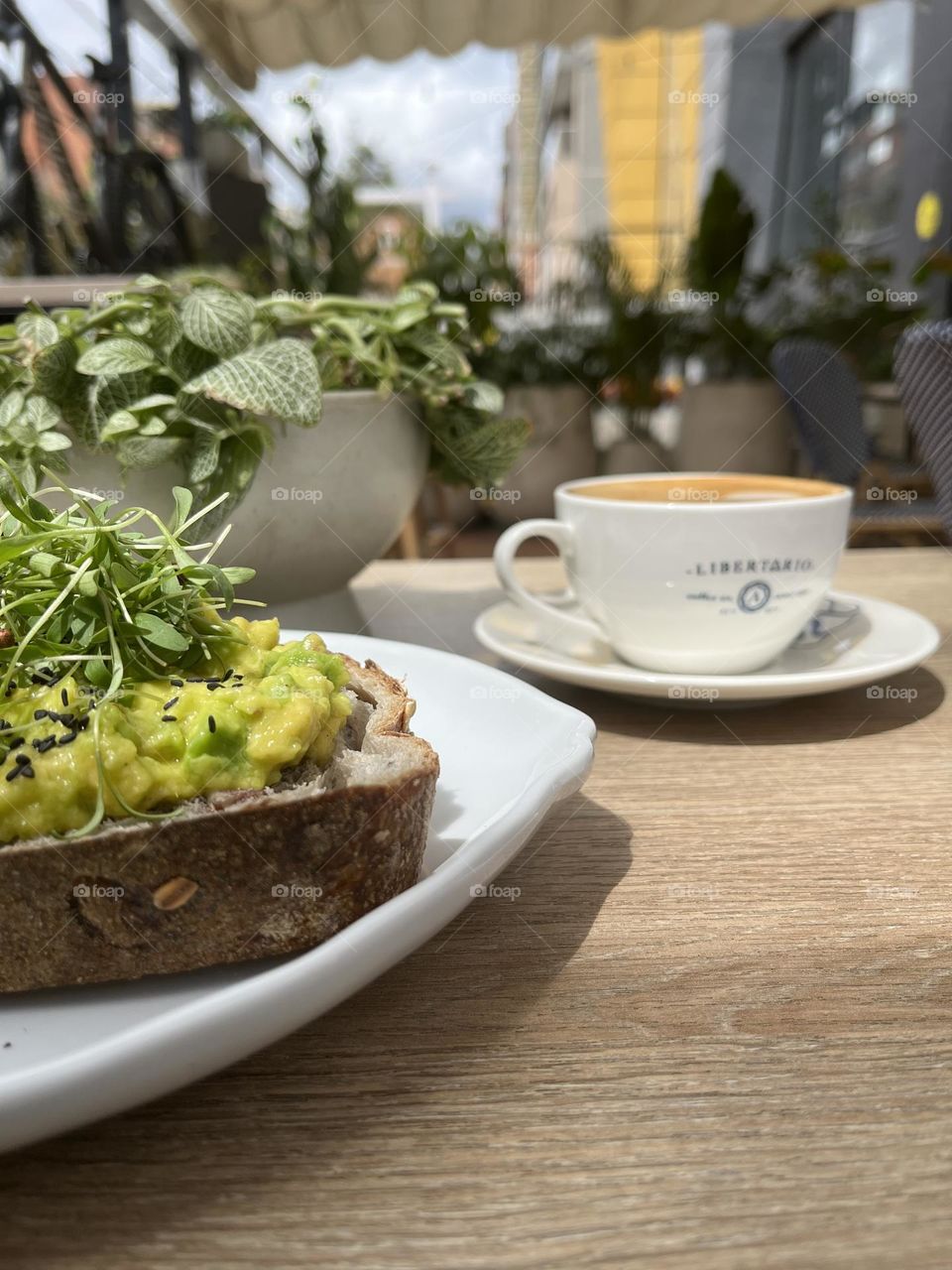 Plants food and coffee 