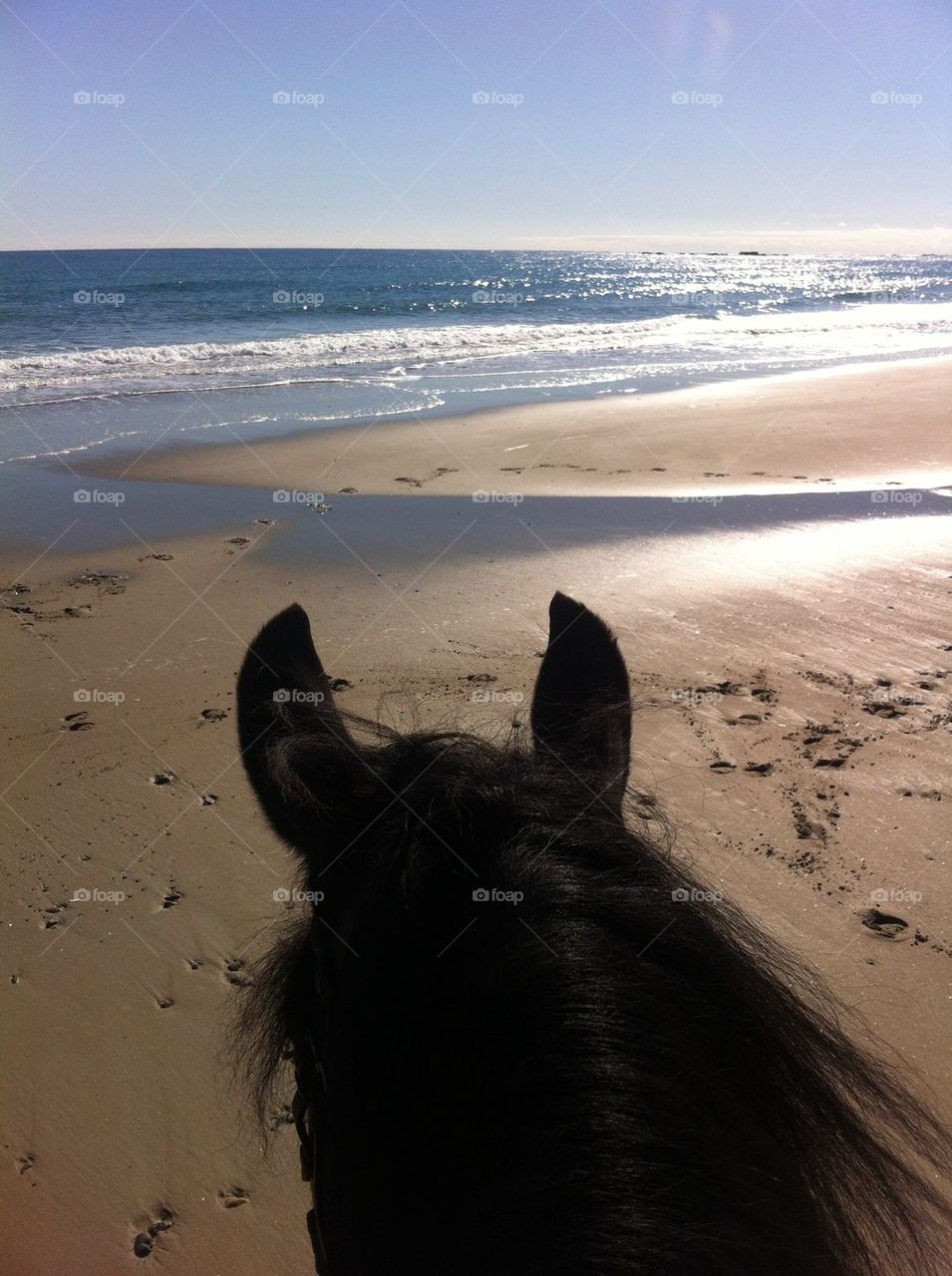Beach Ride
