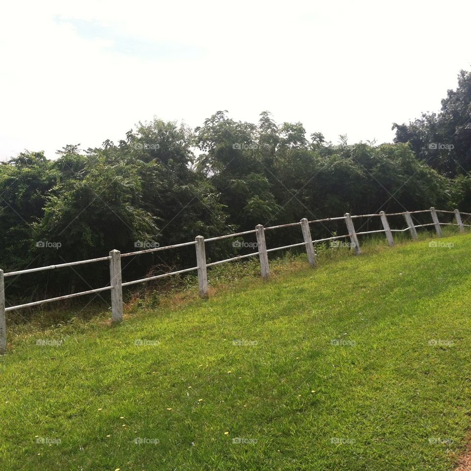 Old iron fence