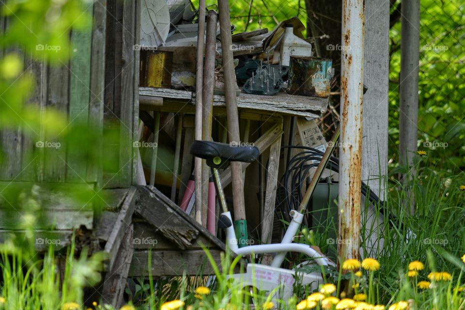 Wood, Garden, Nature, Grass, Summer