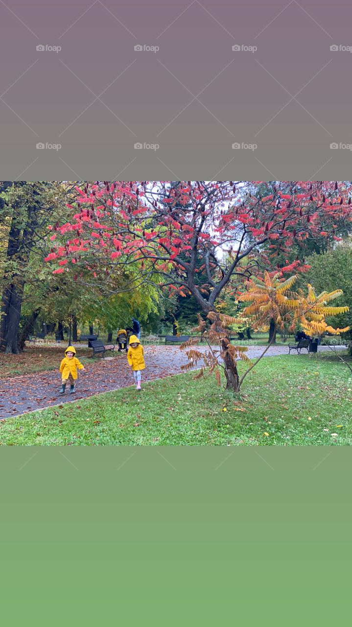 Yellow, red and green