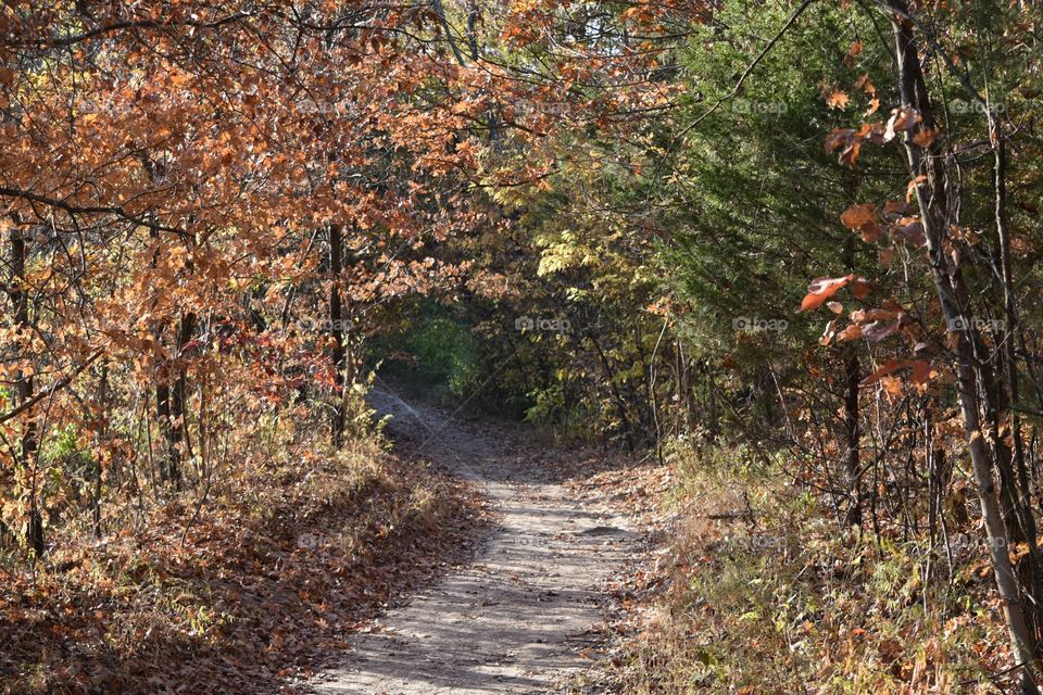 Hike in the Fall