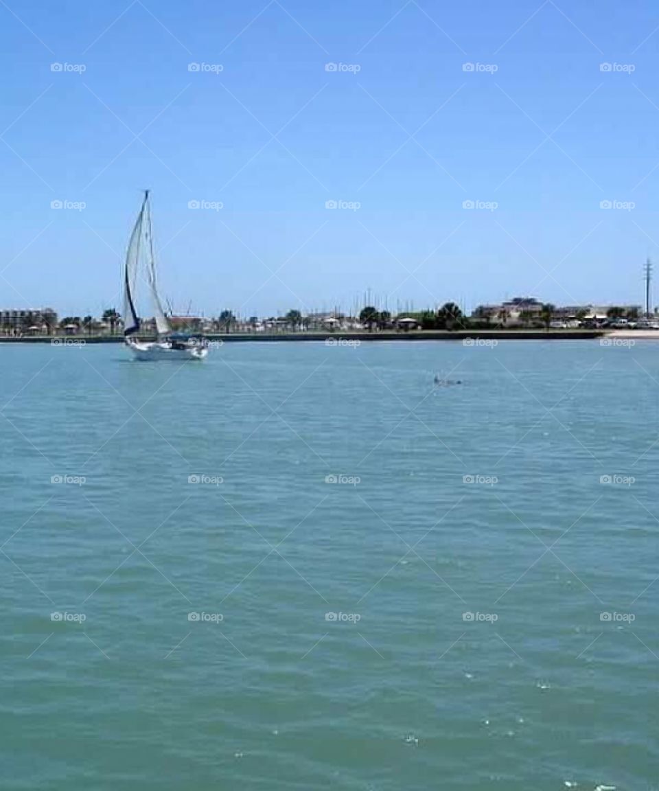 Sailboat on the water