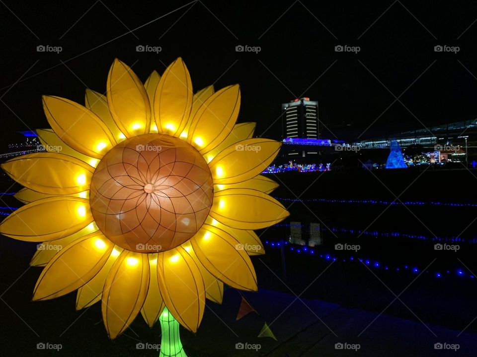 Sun flower lantern at night