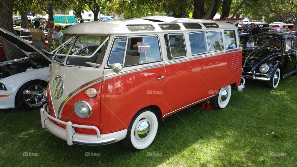 car show rare VW bus